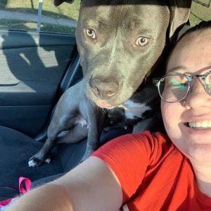 Meet your Posher, Haileu